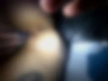 unitednuntamed photo 7