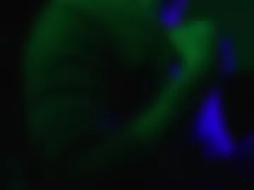 urboytoy_512 live webcam preview