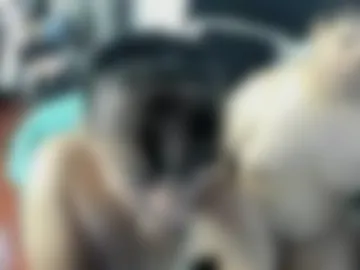 valentinaextreme webcam preview