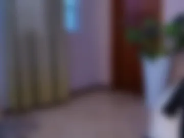 valkavega webcam preview