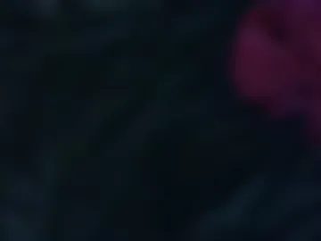 valreece live webcam preview