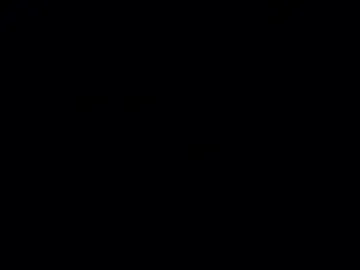 vanderheyl live webcam preview