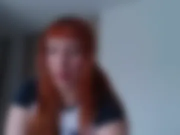 vanlet webcam preview