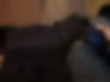 velkduo live webcam preview