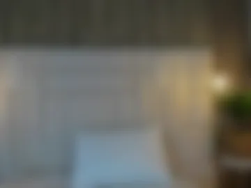 venezsofia webcam preview