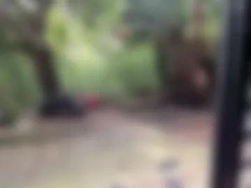 venusandzeus photo 8