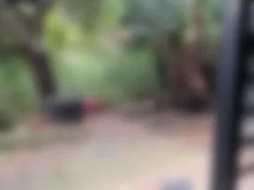 venusandzeus photo 7