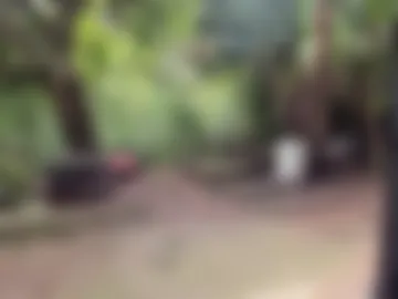 venusandzeus photo 6