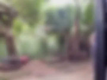 venusandzeus photo 5