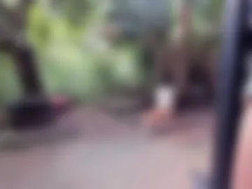 venusandzeus photo 4