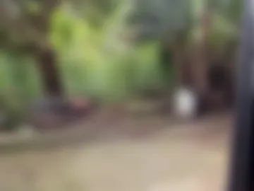 venusandzeus photo 3