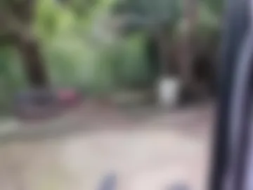 venusandzeus photo 2