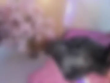 veronica_hill_ webcam preview