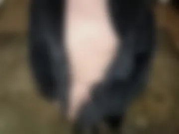 verynicelognlastingcock photo 8
