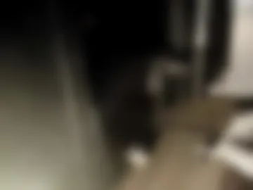 verynicelognlastingcock photo 4