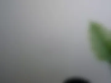 veryveryshygirl webcam preview