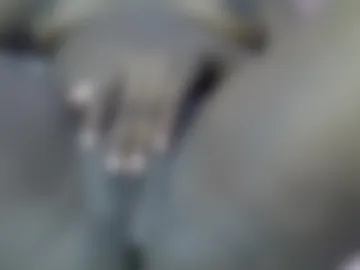 vickie_west89 photo 3