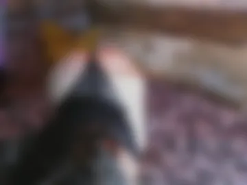 viemalt photo 8