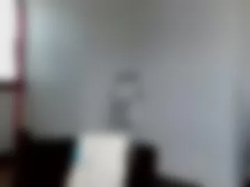 viizin webcam preview