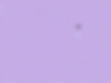 violetttflowers photo 6