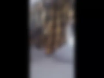 vozd live webcam preview