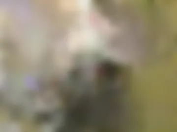vpetkah photo 4