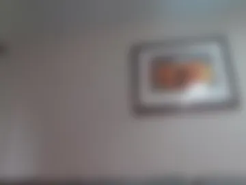 w111mun webcam preview