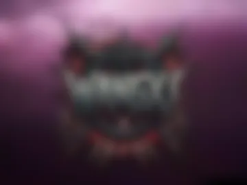 wangxi__ webcam preview