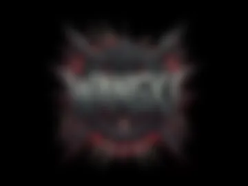 wangxi__ webcam preview