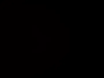 wantstoperform webcam preview