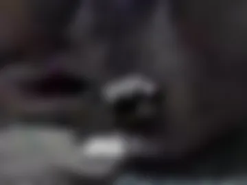 watchersm webcam preview