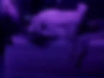 watchhiddenwife photo 4