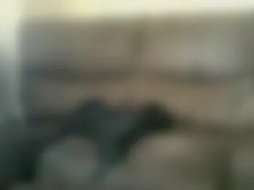 wattpep live webcam preview