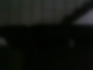 wayne_kin live webcam preview