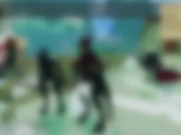 weaponmaster151 photo 9