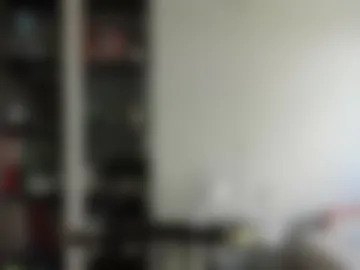 wee_willy_winky live webcam preview