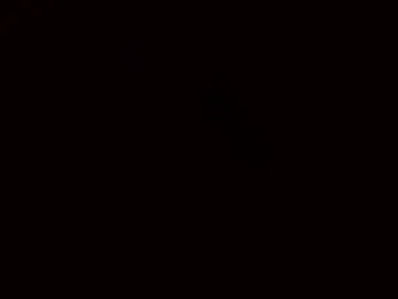 wefjkasdhfsn photo 7