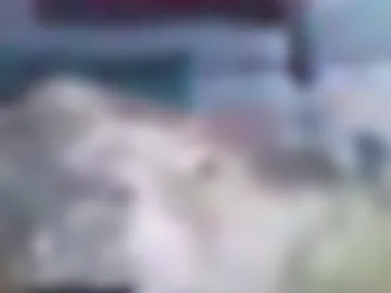 wera82 live webcam preview