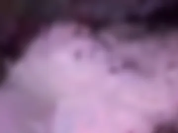 wet_to_fxk live webcam preview