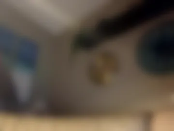 wherewashe webcam preview