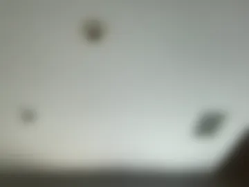 whitneyoc live webcam preview