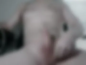 wholesome_aussie photo 4
