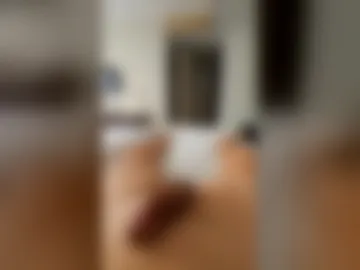 wick00 live webcam preview