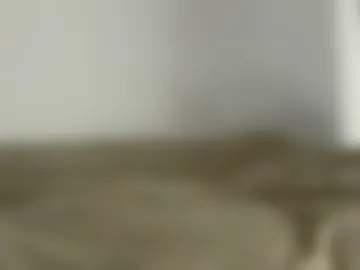 wilddesire18 photo 4