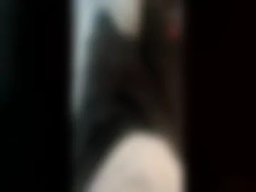 wildfunguy1 photo 5