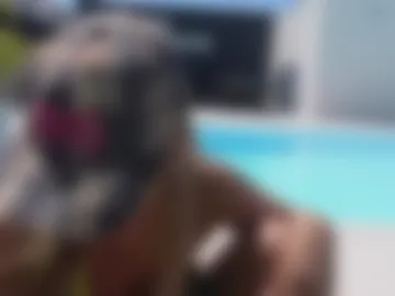 wildtequilla webcam preview