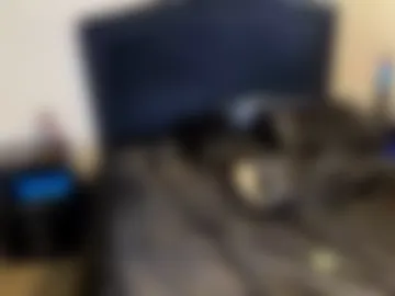 wildtravis live webcam preview