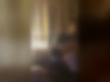 will902747 live webcam preview