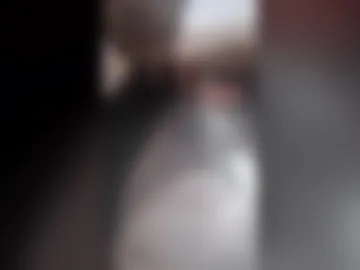 will913088 live webcam preview