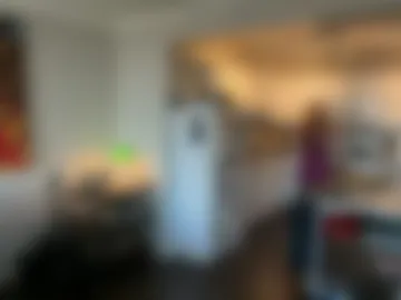will_sx webcam preview